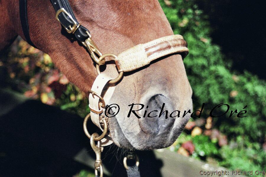 Schwerpunkte unseres Trainingsprogramms